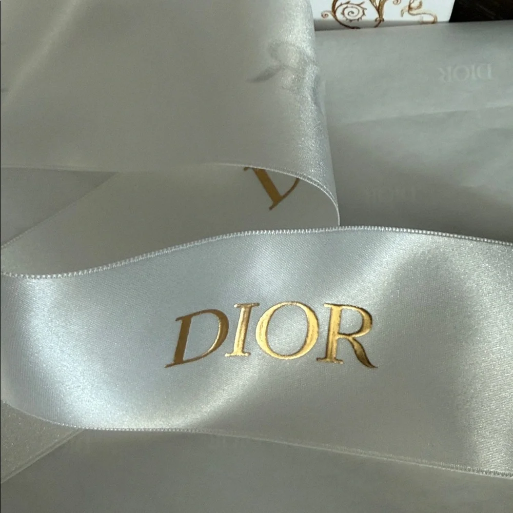 Dior Gift Bag